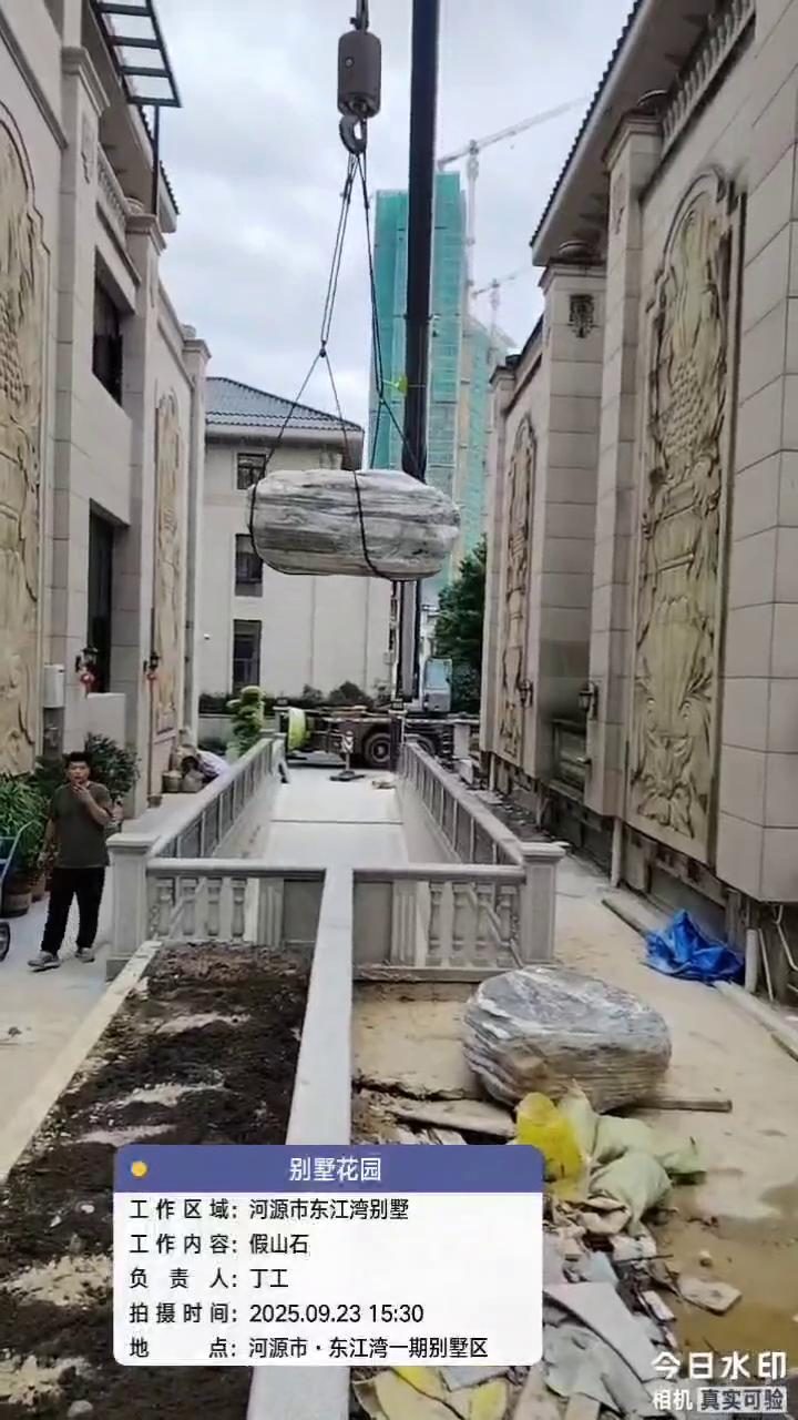 实拍8