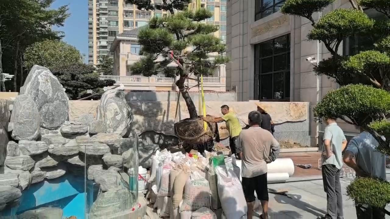 实拍10