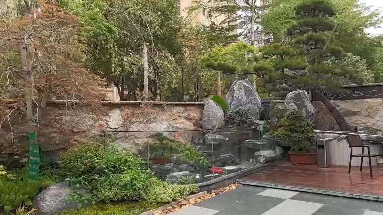实拍14