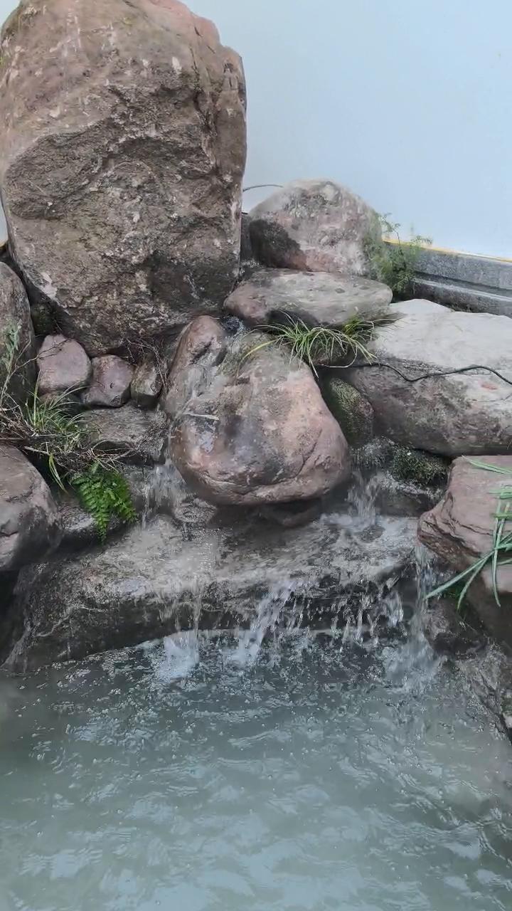 实拍2