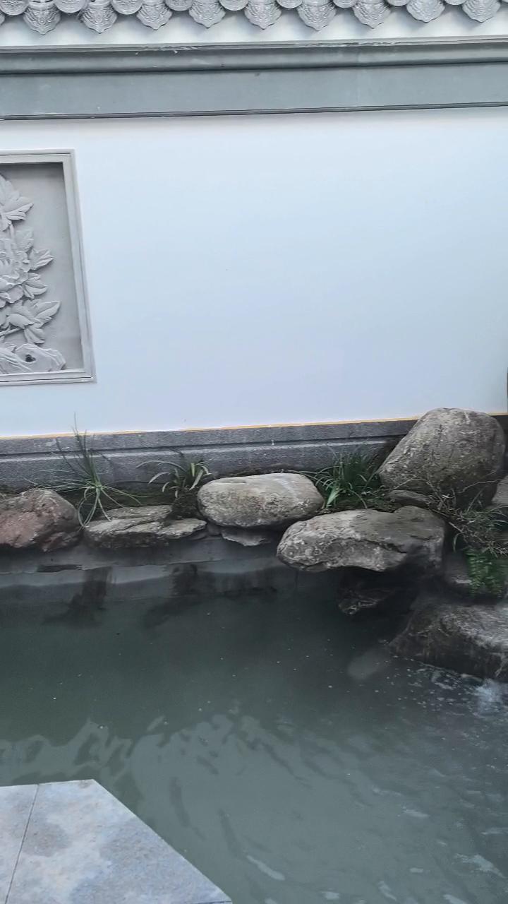实拍32