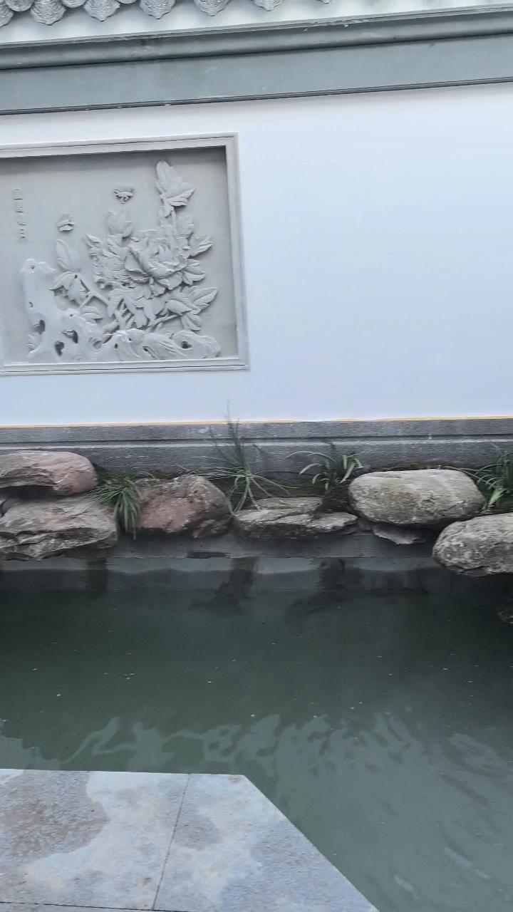实拍38