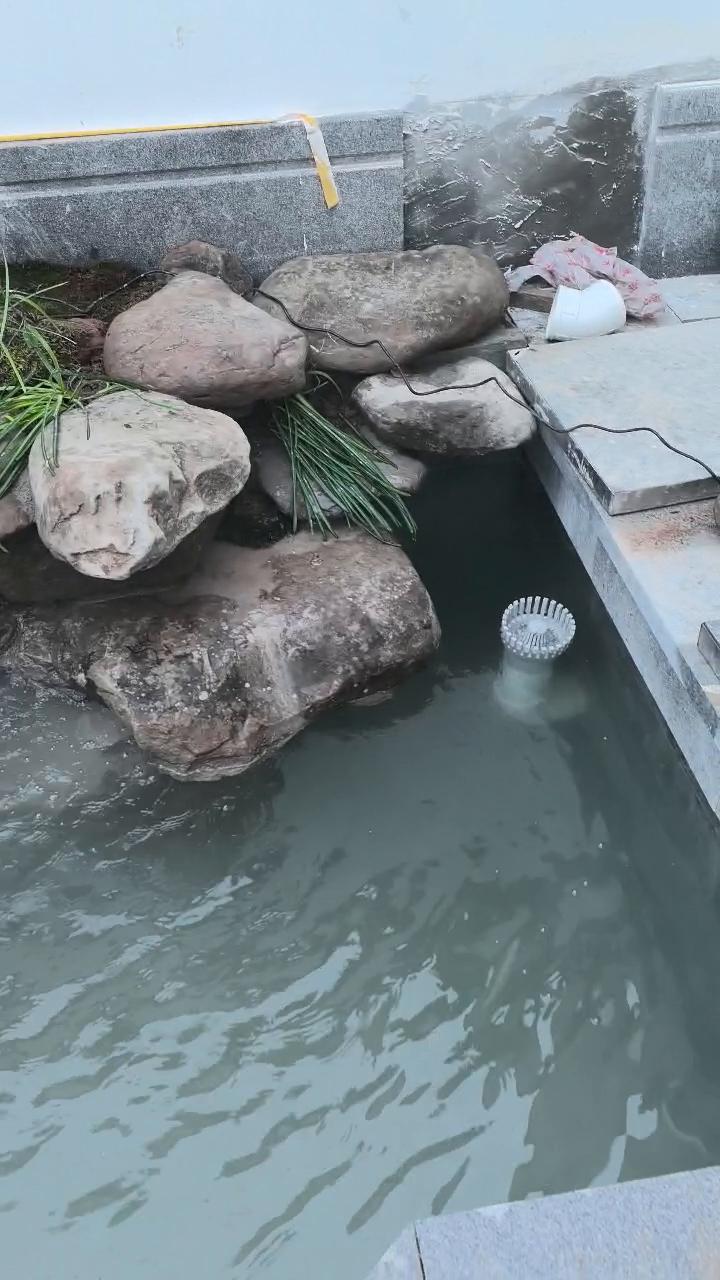 实拍5