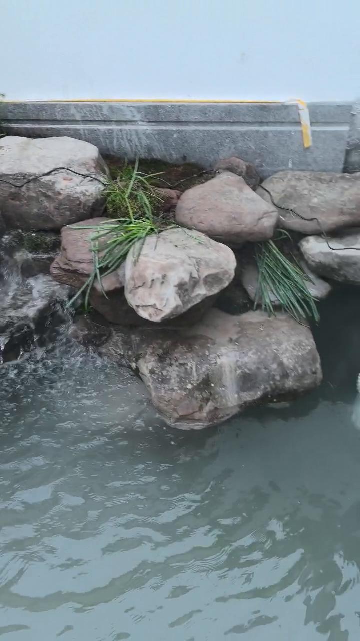 实拍47