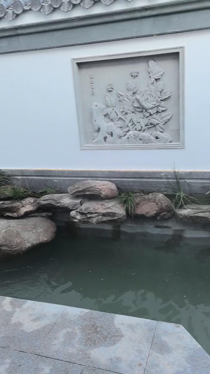 实拍27
