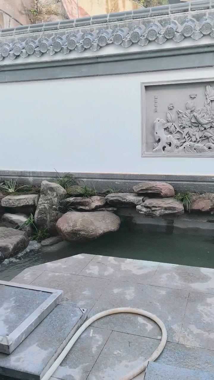 实拍7