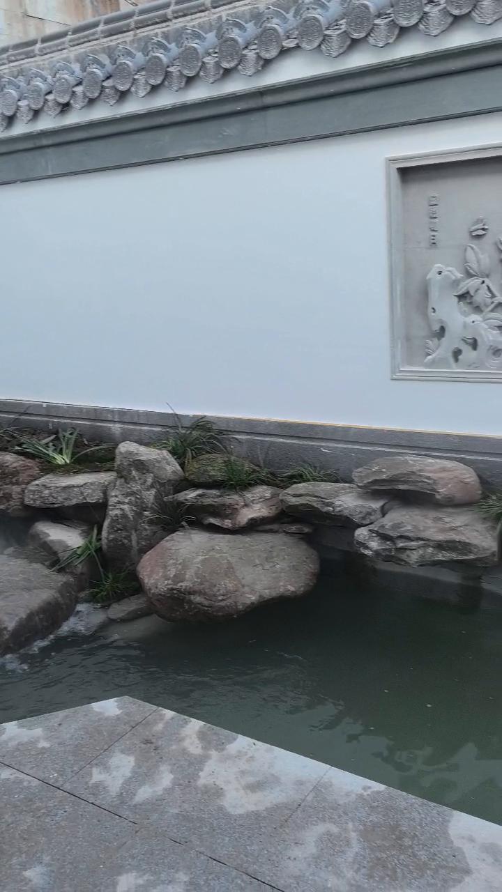 实拍51