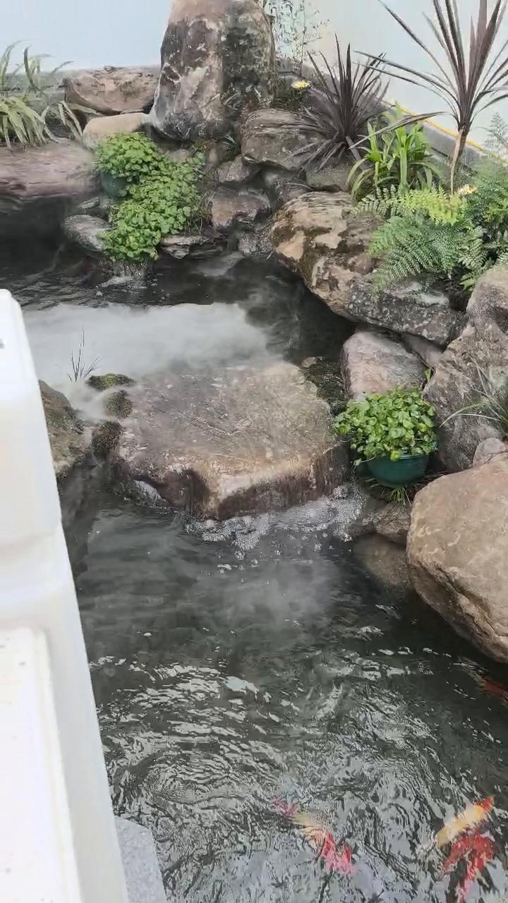 实拍8