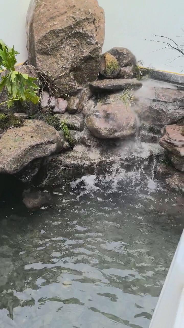 实拍53