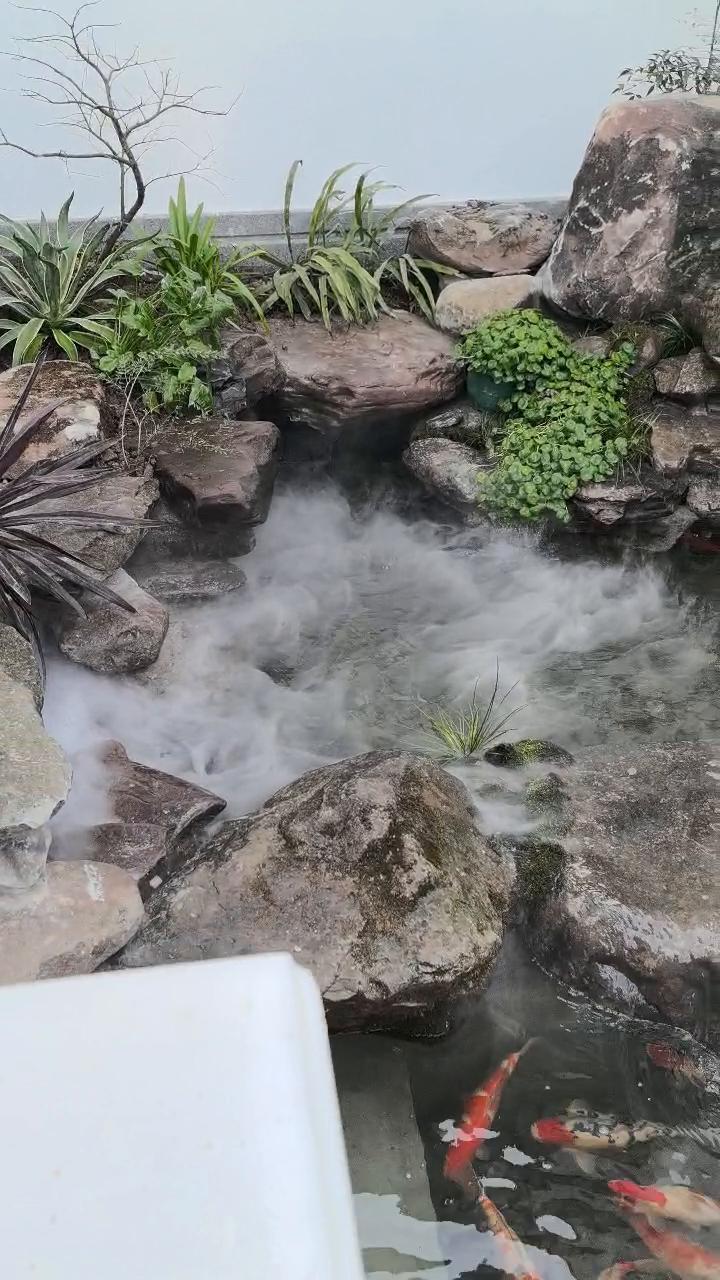 实拍9