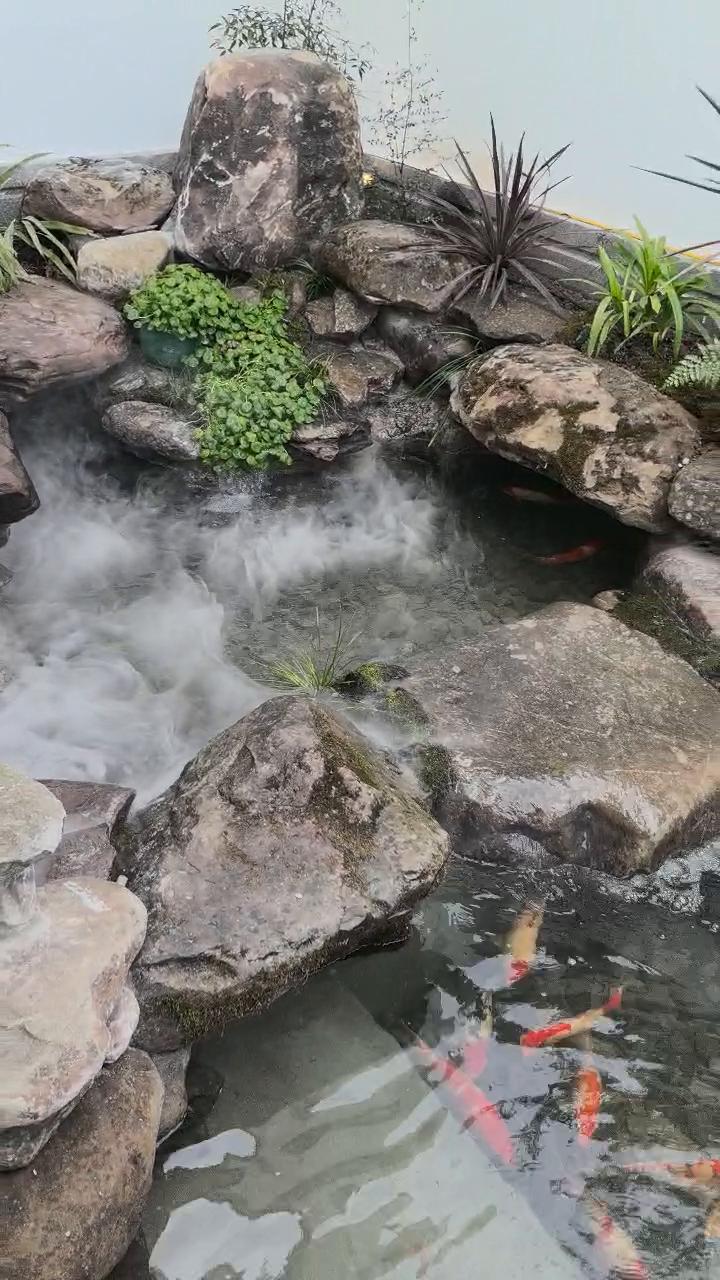 实拍54