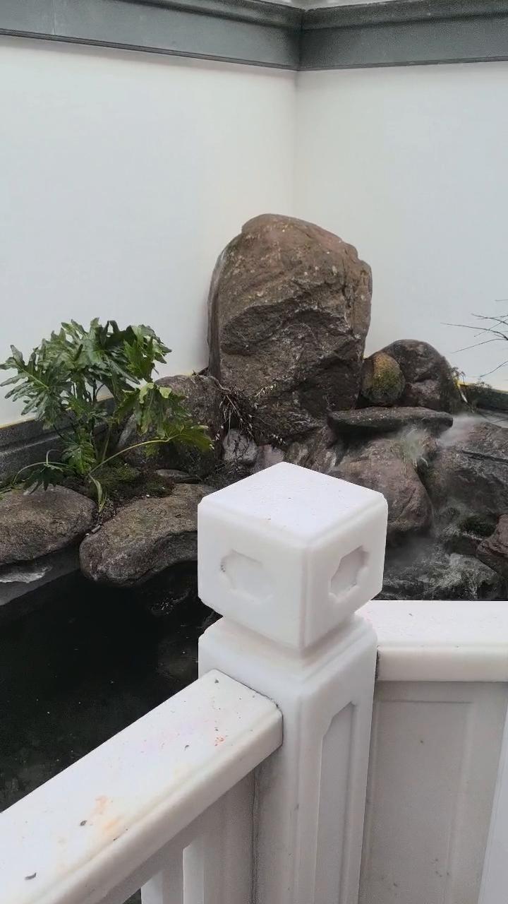 实拍21
