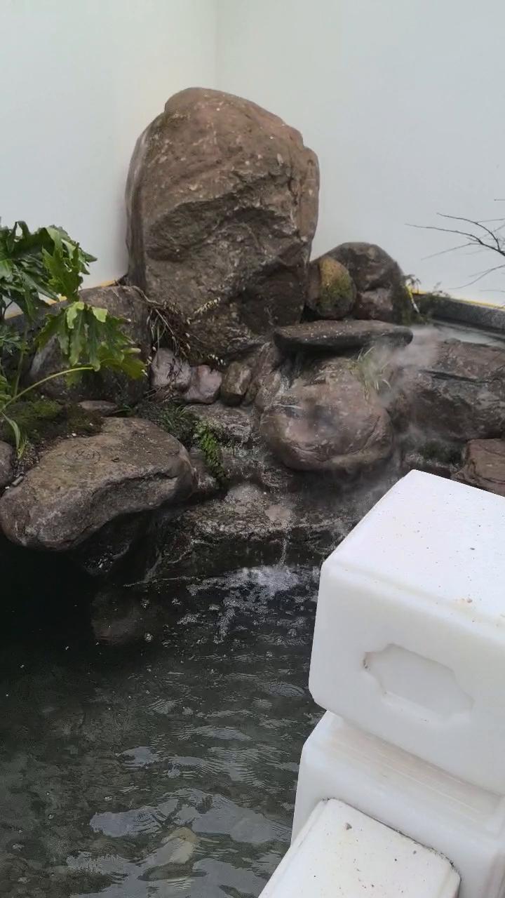 实拍18