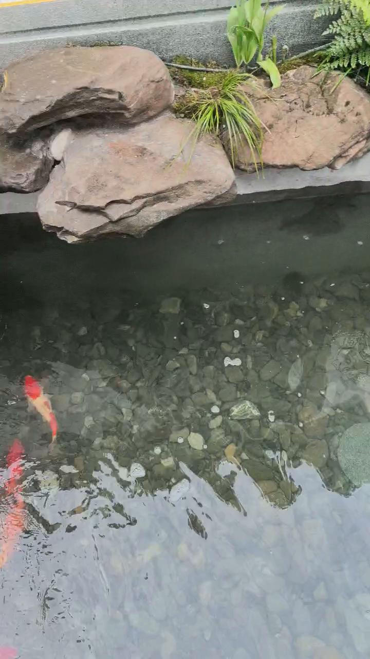 实拍10