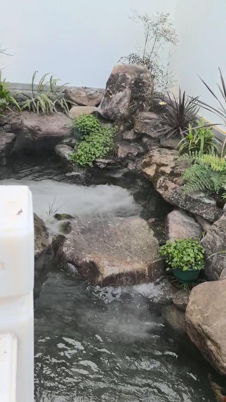 实拍19