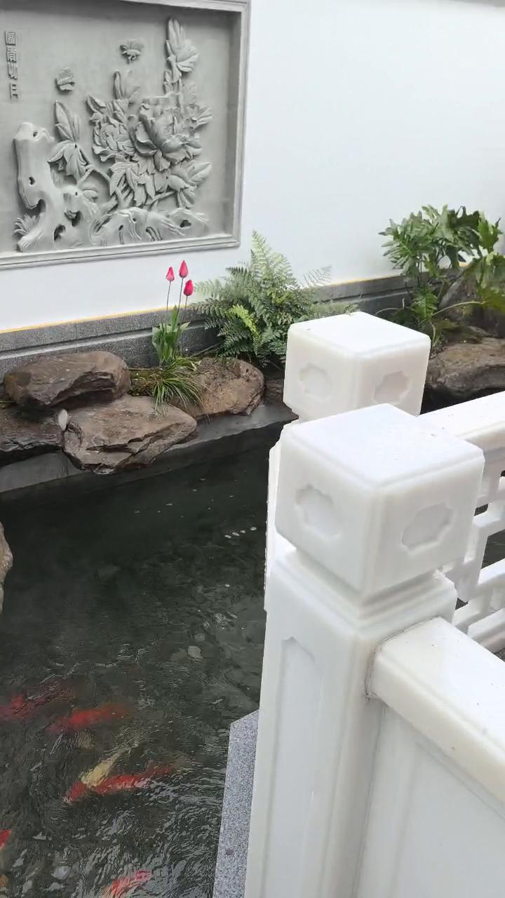实拍16
