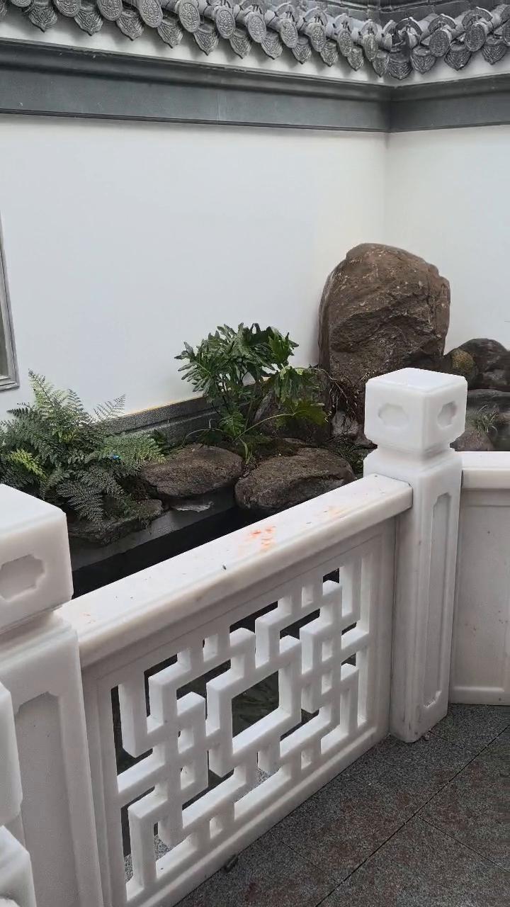 实拍20