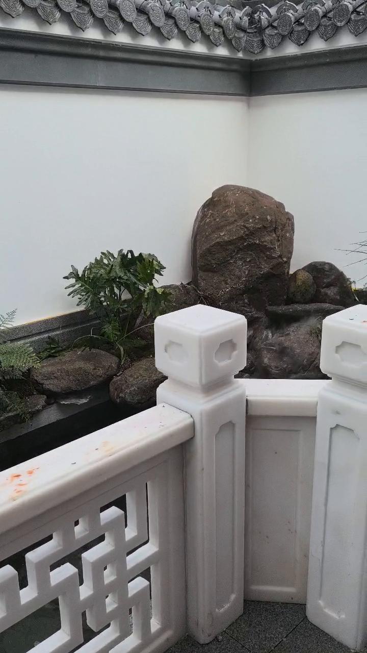 实拍17