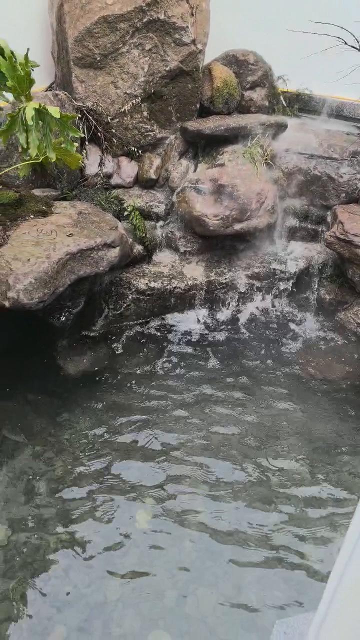 实拍12
