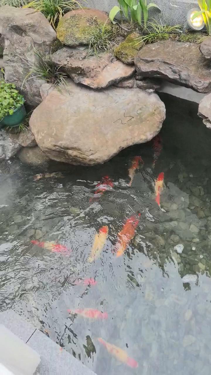 实拍13
