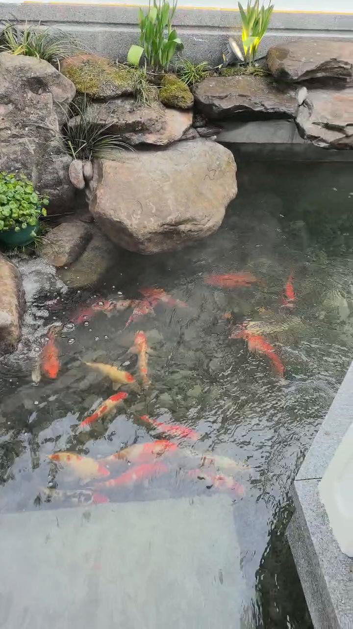 实拍55