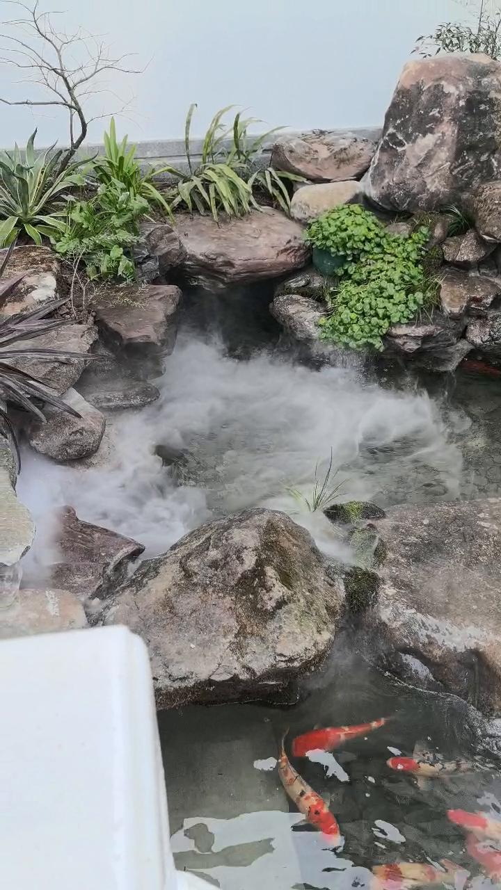 实拍14