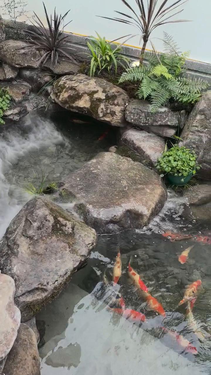 实拍56