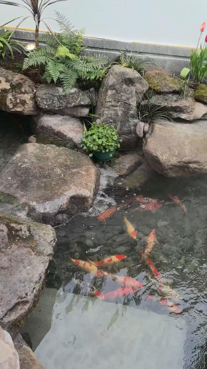 实拍15