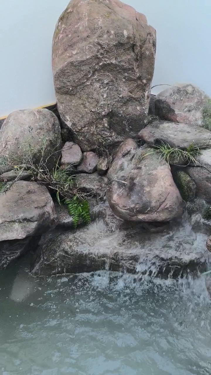实拍61