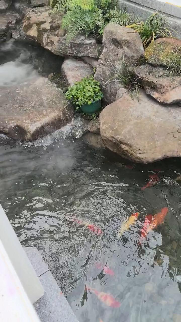 实拍64
