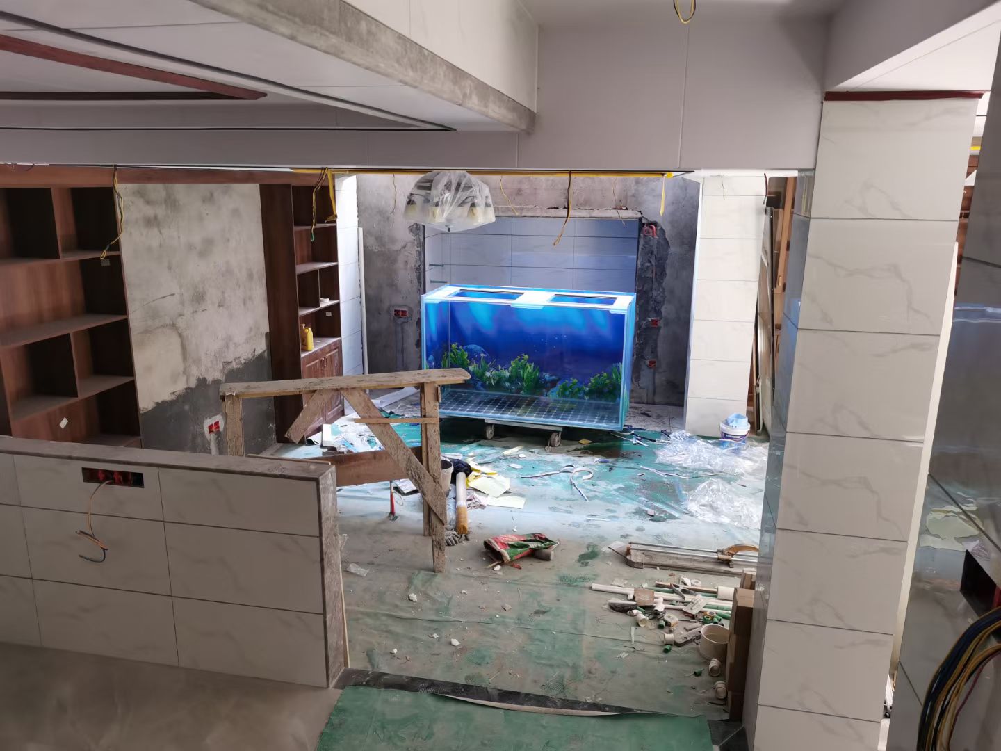 海蓝背景画贴好。水体颜色压得住,鱼的体色才显出来