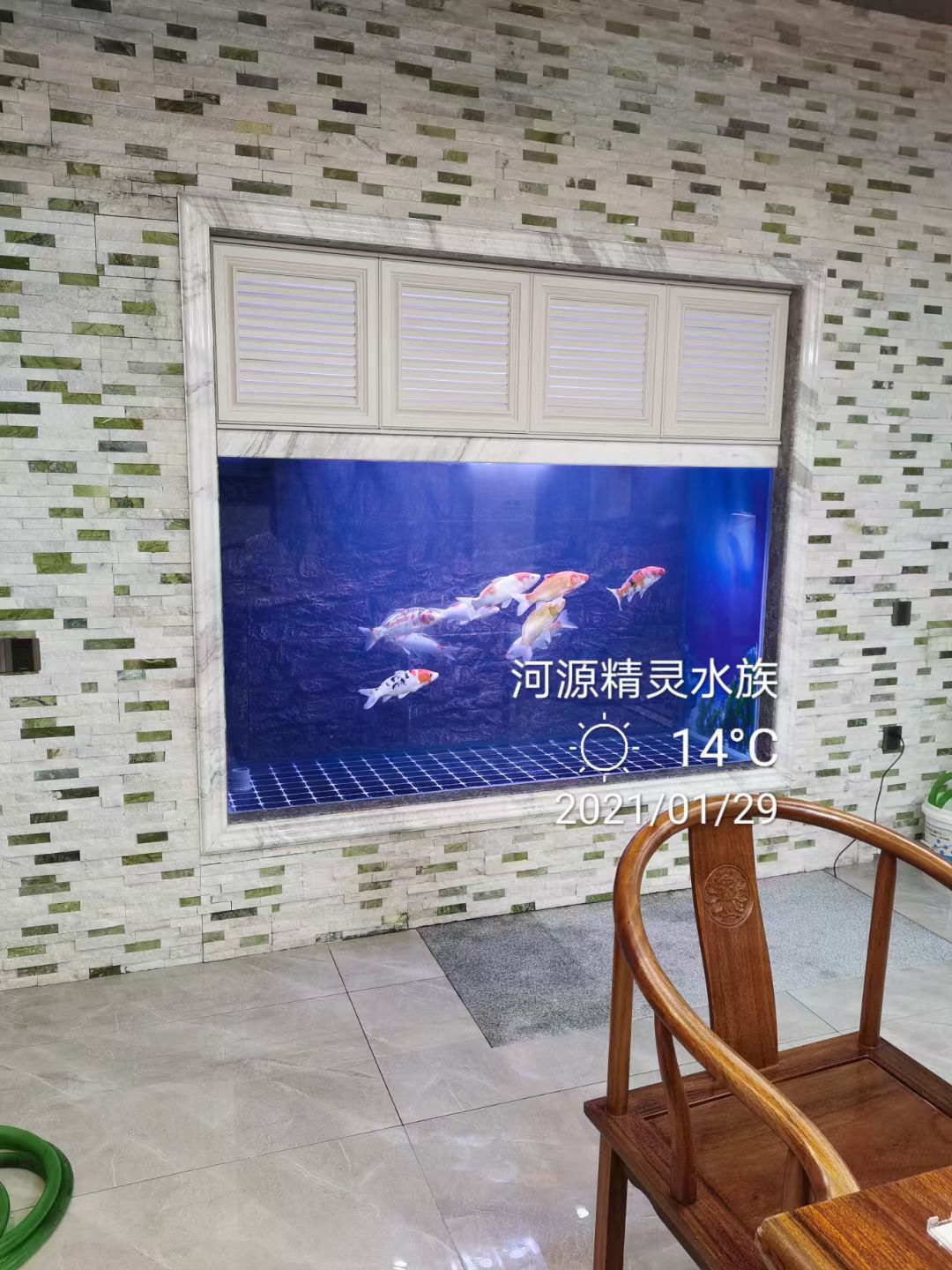 完工放水养鱼。图上水印是「河源精灵水族」,2022 年前的旧名号