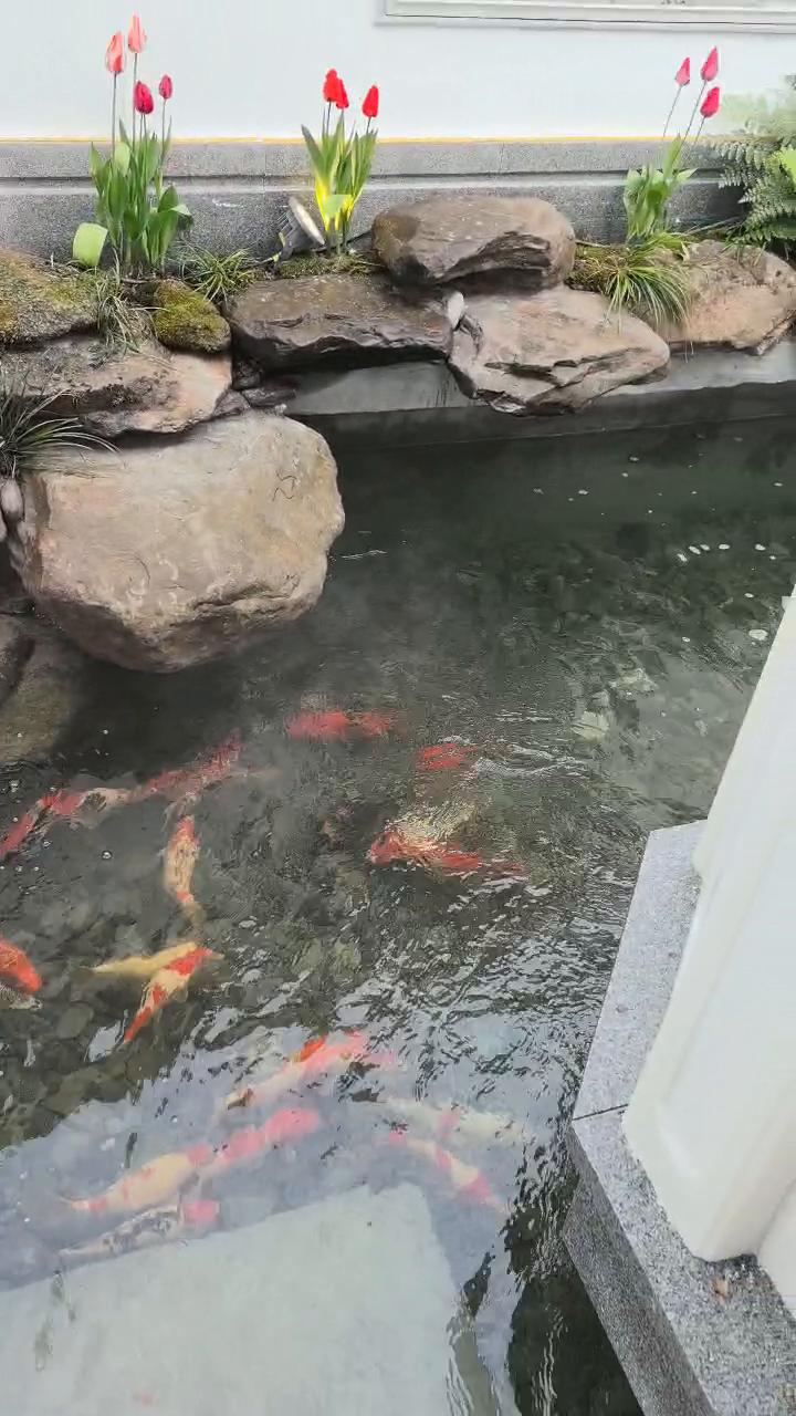 过滤做对了的直接回报：水清见底——达州项目